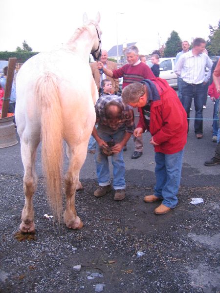 Horseshoeing 2009